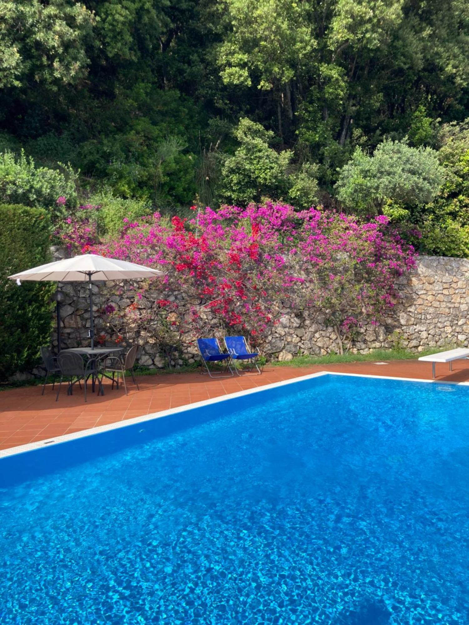 Apartamento Il Casalino Maratea Exterior foto